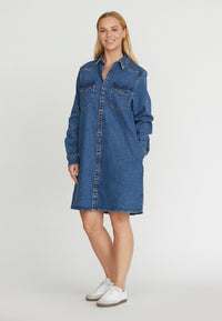 Onea Denim Dress