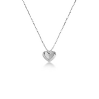 True Love Necklace -  Steel